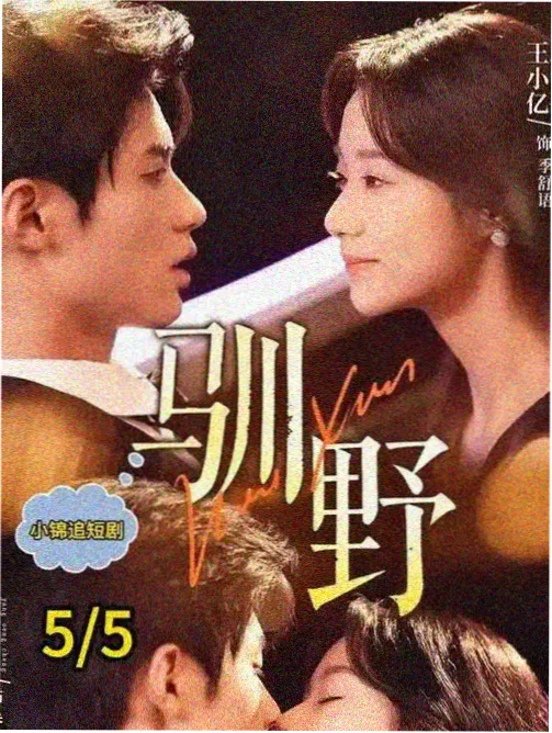 青梅巷17号都市情感剧海报